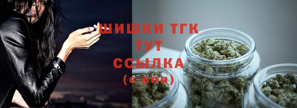соль ск Струнино