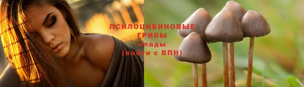каннабис Арсеньев
