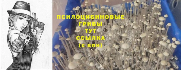 метамфетамин Армянск