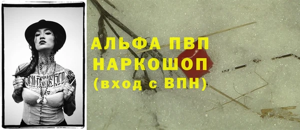spice Строитель