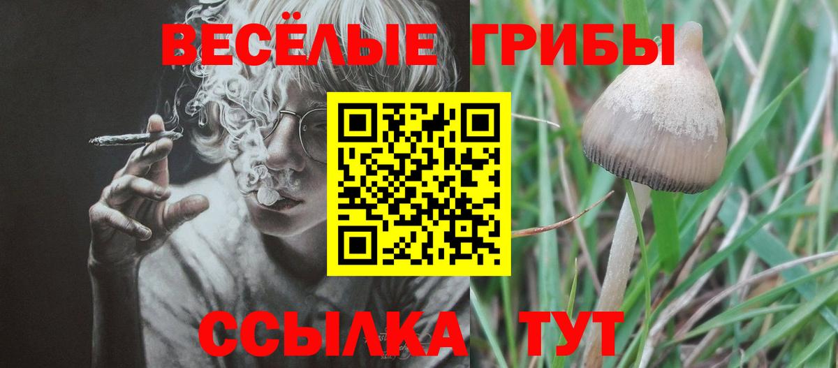 Гарик  LSD-25  Канабис  Ешки  ЛЁД  Вход с VPN  Видное  COCAIN  Мефедрон 