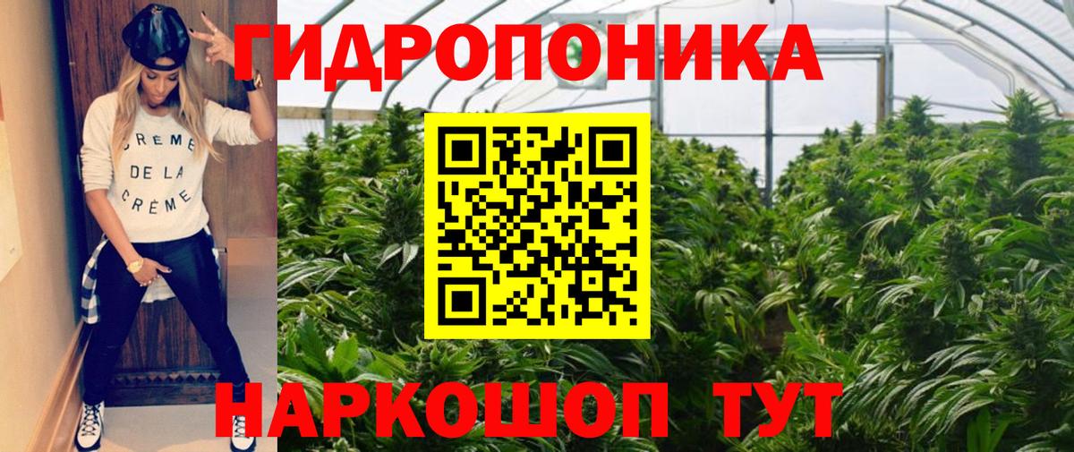 Бошки Шишки гибрид  Бошки марихуана VHQ  Видное  Вход с VPN 